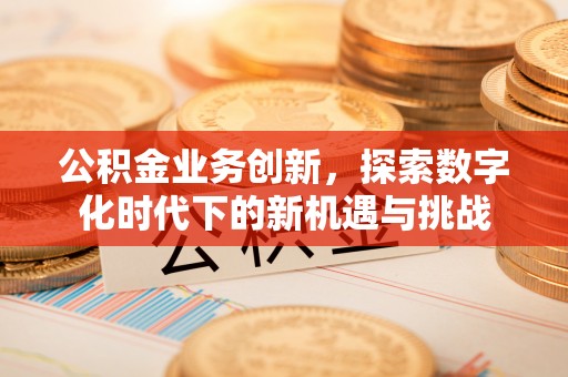 殷都公积金业务创新，探索数字化时代下的新机遇与挑战