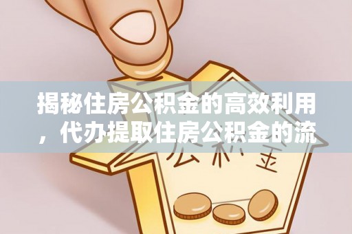 殷都揭秘住房公积金的高效利用，代办提取住房公积金的流程与技巧